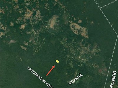 TERRENO DE 748 HECTÁREAS UBICADO EN HOPELCHEN, CAMPECHE