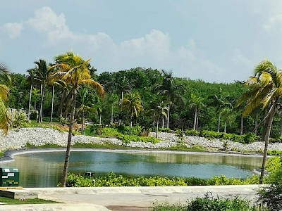 Venta Terreno en exclusiva privada Campeche