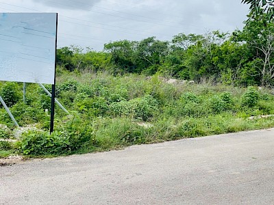 VENTA DE LOTE RESIDENCIAL EN TEMOZÓN,NTE
