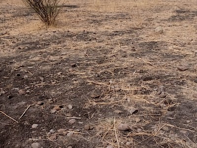 Terreno en Venta en Tierra Blanca