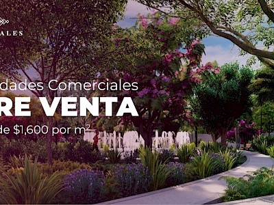 Unidades Comerciales Premium Progreso Yuc 