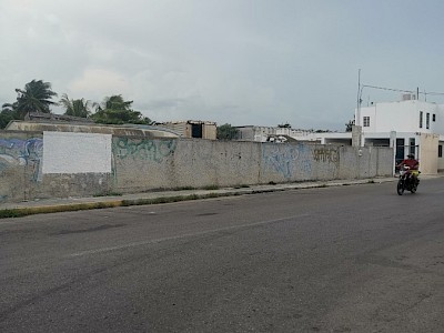 Renta Terreno Progreso, Yucatán 
