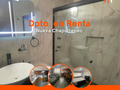 Departamento Nueva Chapultepec