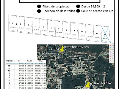 Lotes con Servicios Temozón Norte (Calle Pavimentada y CFE) 