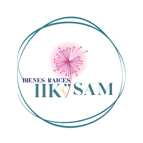 Logo de BIENES  RAICES IIK " SAM
