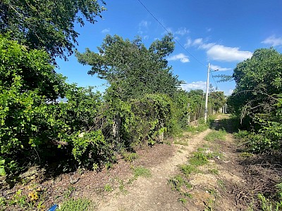 SE VENDE EXCELENTE TERRENO PARA INVERSIONISTAS, IDEAL PARA FRACCIONAR O DESARROLLO DE VIVIENDA. 3,358 m2 CON Medidas 40m de frente por 89m EN COLONIA BOSQUES DEL SUR, EN TUXTLA GUTIÉRREZ, CHIAPAS.