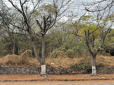 Terreno tipo Campestre en Venta