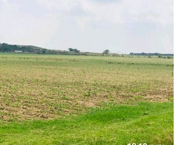 VENTA TERRENO GUADALAJARA CARRETERA ASTILLERO NEXTIPAC