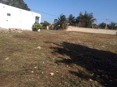 Imagen del inmueble
