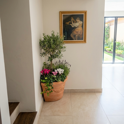 Imagen del inmueble