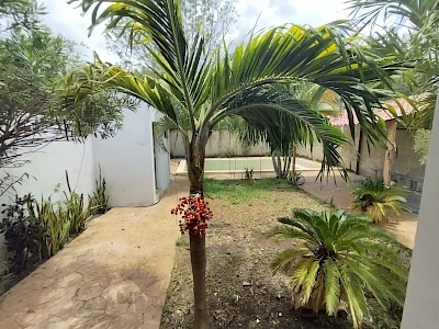 Imagen del inmueble
