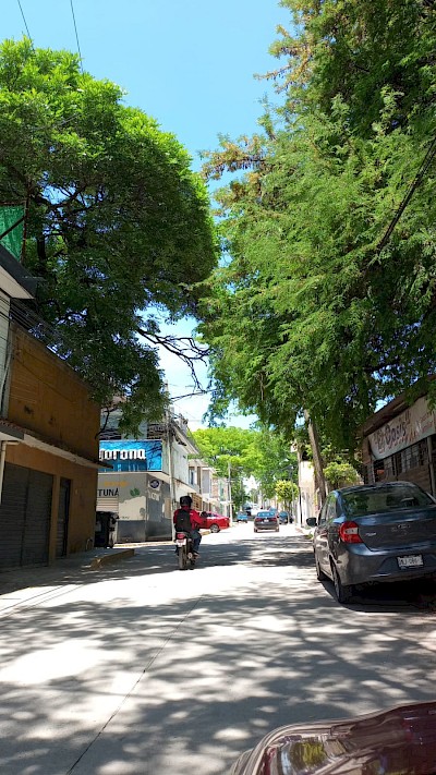 Imagen del inmueble