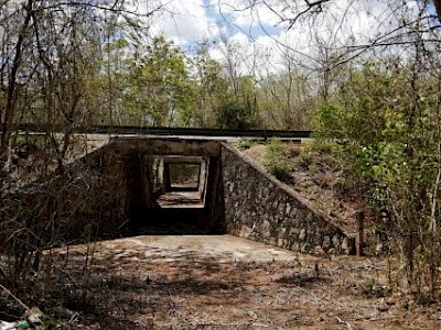 156Has UAYMA, Yucatán sobre carretera 